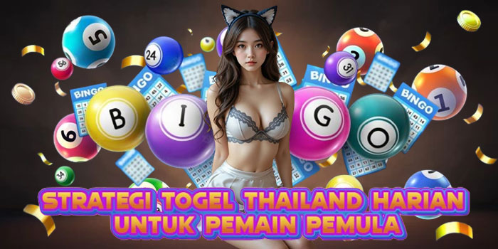 Strategi Togel Thailand Harian untuk Pemain Pemula
