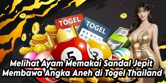 Melihat Ayam Memakai Sandal Jepit Membawa Angka Aneh di Togel Thailand